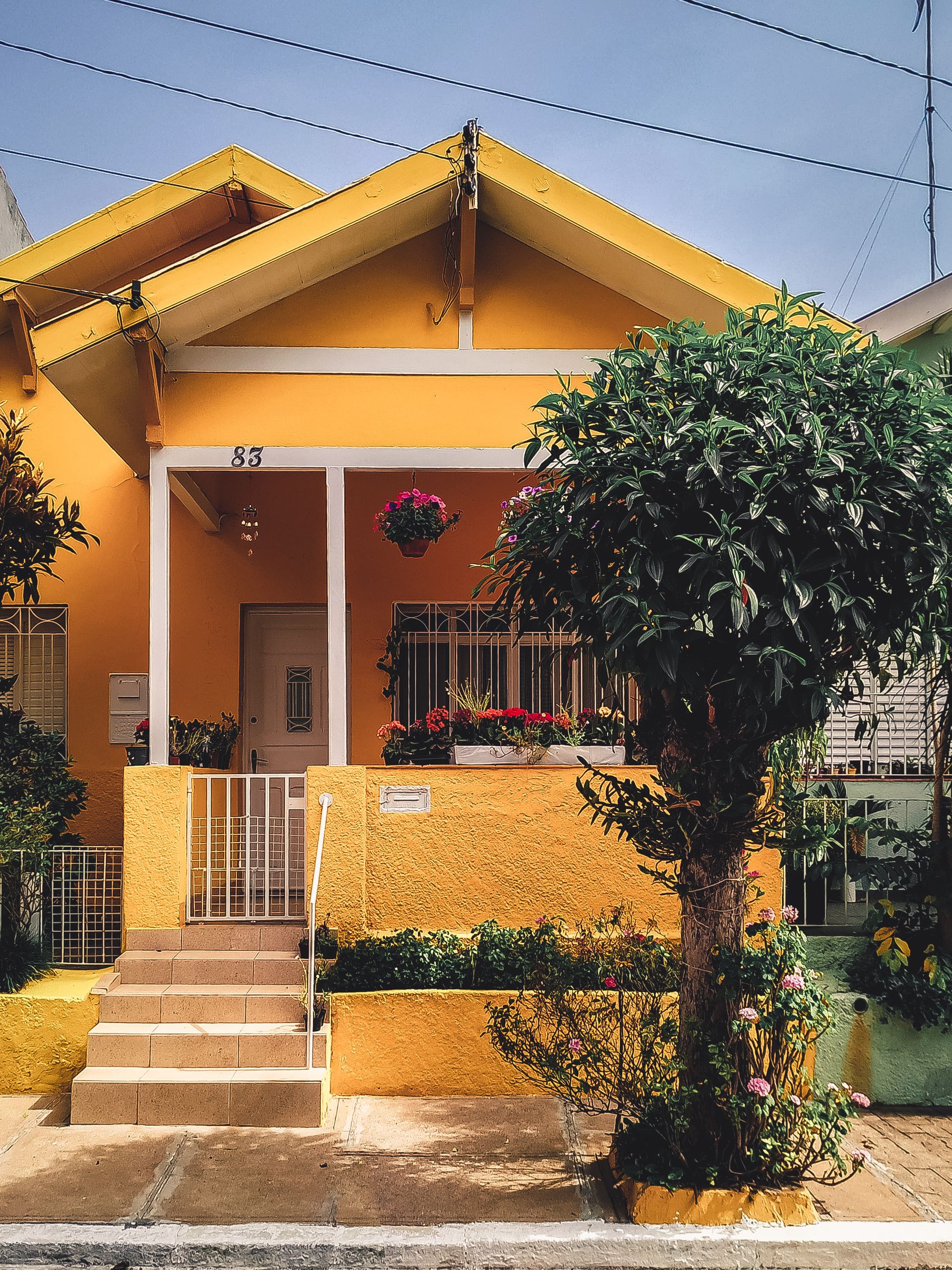 Professional relocation consultation